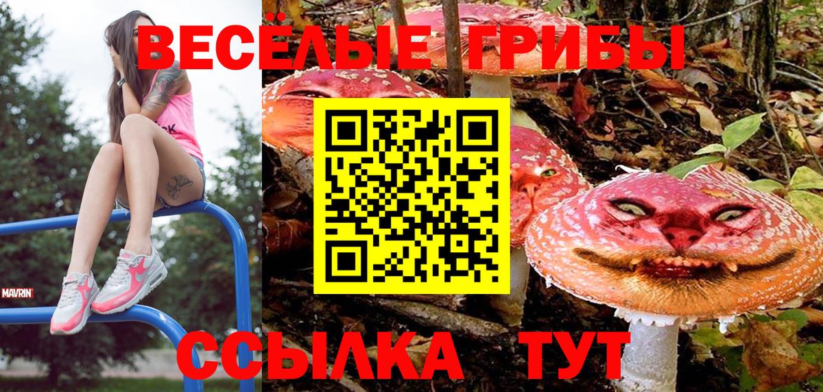 цены   Вход с VPN  Тула  Псилоцибиновые грибы Cubensis 