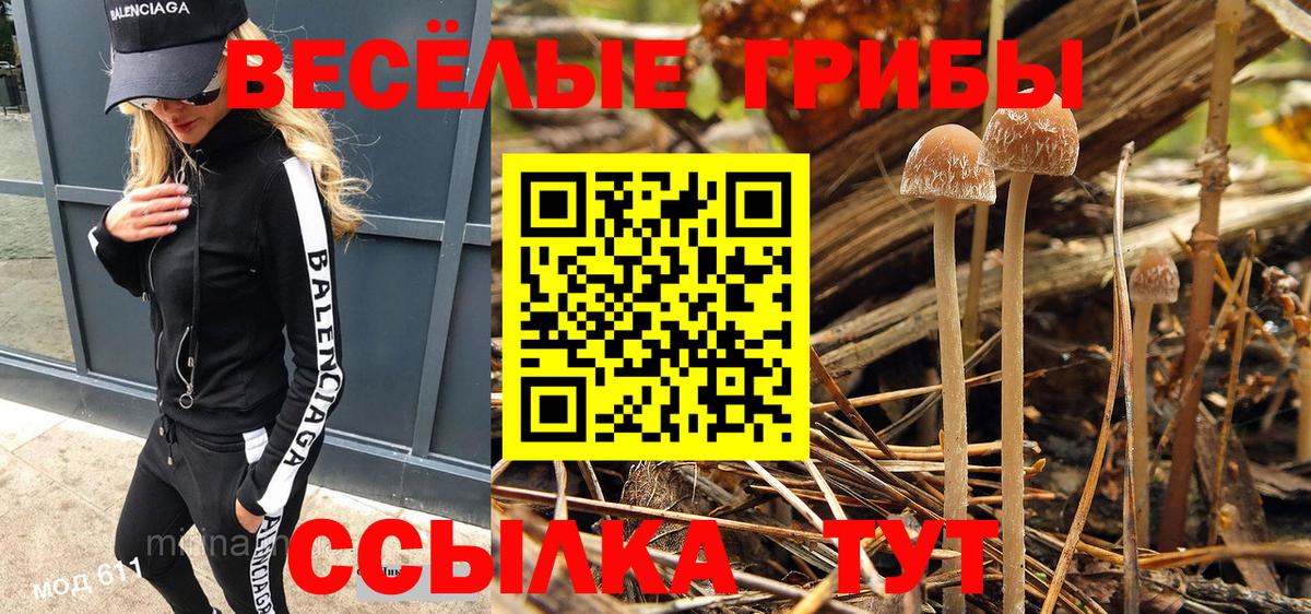 ГАШ  Меф МЯУ МЯУ  Бошки Шишки  Меф кристаллы  Продажа наркотиков  Тула  Вход с VPN 